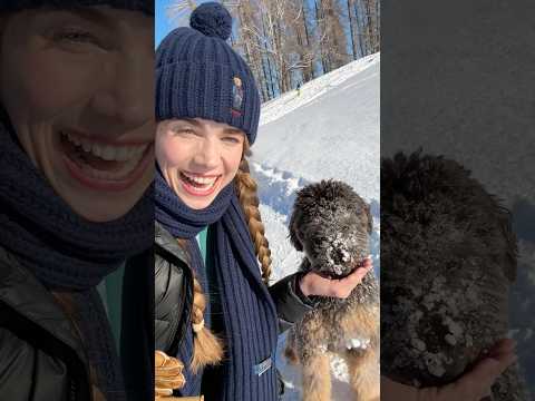 Wir haben einen Hund 😍 Welches Team seid ihr? #hund