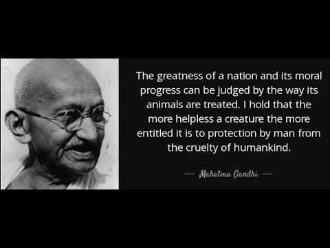 Rohit Singh Adhikari Man's best...