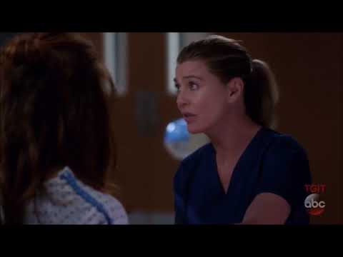Grey's Anatomy 14x04 Meredith and Megan
