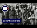 4 mei: Wat voor een leven is er na de oorlog?