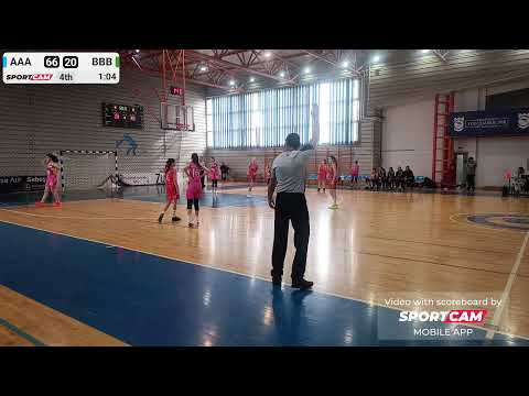 LPS ALBA IULIA -- WILD CATS BAIA MARE