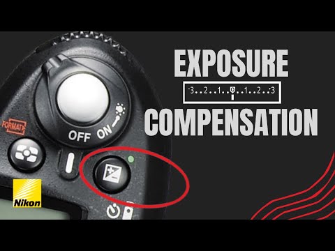 Mastering Exposure Compensation: Techniques for Perfect Photos