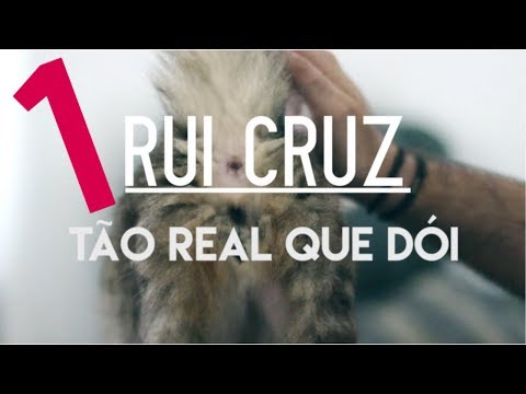 Rui Cruz- Tão Real Que Dói 01- Então Agora é Vídeos