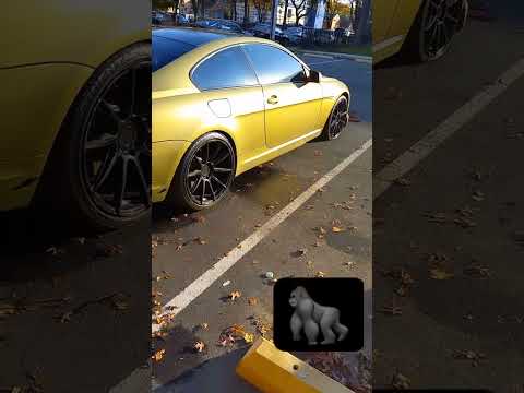 Thumbnail for BMW 6 Series by BMW 6 Series, BMW