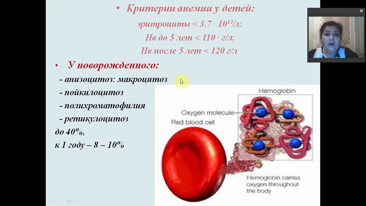 Особенности системы крови у детей  Клинико гематологическая семиотика основных синдромов