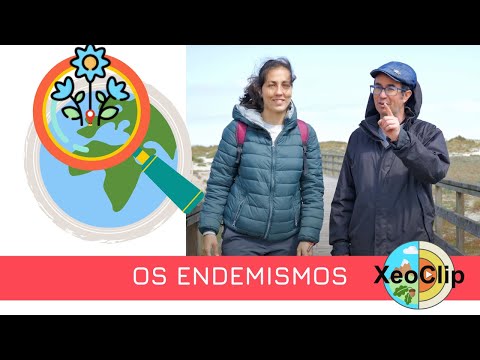 Vídeo: Os endemismos