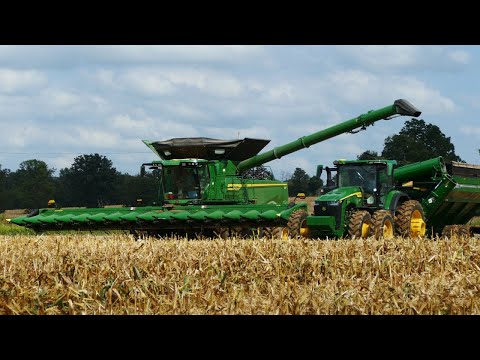 Seven Springs Farms Corn Harvest - Kentucky, USA