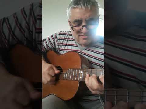 Kompozicija od armonika Milan Zavkov i gitara Kariman..sviri Zlate Andonoski