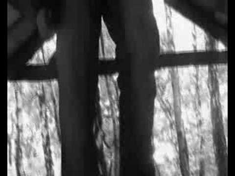 Sidney Polak - Wkładam łyżkę w szklankę (RRRecords)