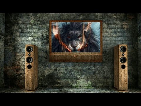 Camsurf app tested randiom vidio chat