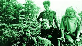 Heavenly - And The Birds Aren&#39;t Singing (Peel Session)