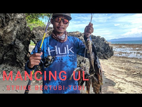 MANCING UL CASTING PINGGIRAN STRIKE BANYAK IKAN KERAPU MACAN:SPOT TANJUNG BOBOLIO WAWONII