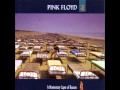 Pink Floyd One Slip