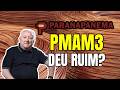 PMAM3 PARANAPANEMA COTAÇÃO MÍNIMA! O MAIOR ERRO DO BARSI?