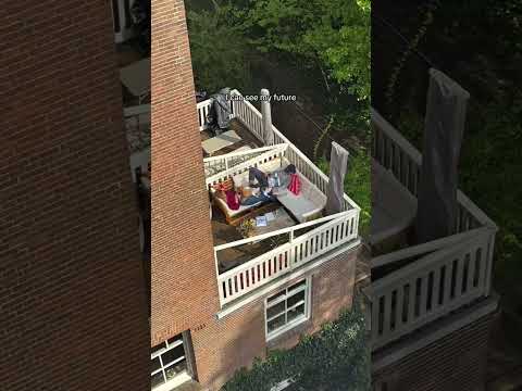 this is all I ever want. Peace, a loving person, a dog and a view.🕊️