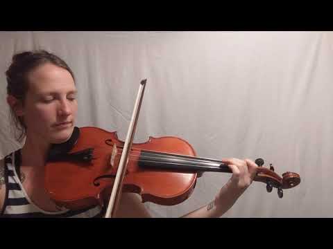 Swallow Tail Jig and Irish Washerwoman for viola