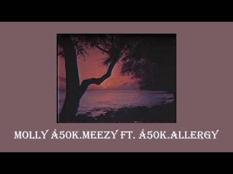 Á50k.Meezy ft. Á50k.Allergy - Molly ( lyrics Video )