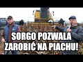 Strona główna 17 Video thumbnail
