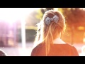 Robin Schulz - Prayer (Bootleg) 