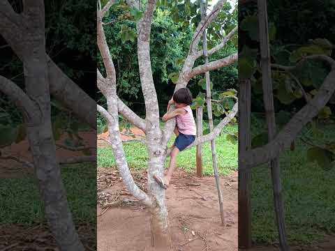 Rancho Vigorelli, cedro Trindade Goiás.