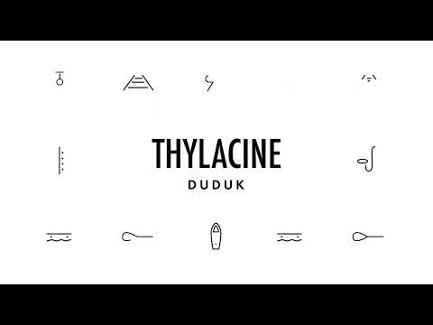 THYLACINE - Duduk