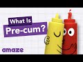 What Is Pre Cum AskAMAZE