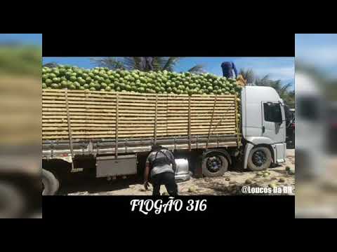 O caminhoneiro e o Urso