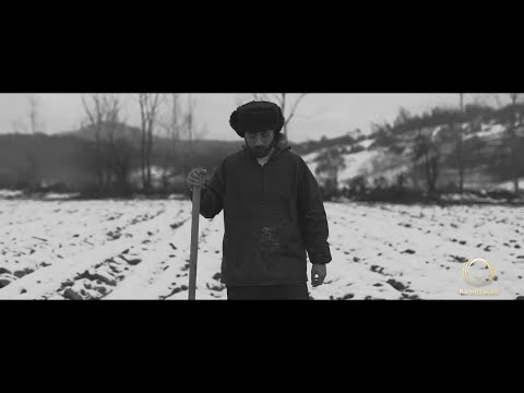 Jarshaa - Formalite (Official Music Video)