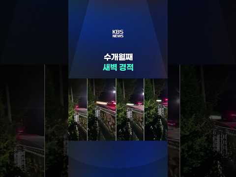 수개월째 새벽 경적 #shorts / KBS
