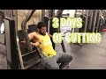 3 FULL DAYS OF CUTTING! BODYBUILDING LIFESTYLE | CUTTING MEALS