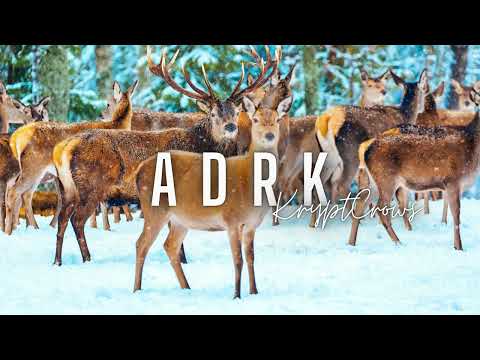 ADRK x GTNN - Karma ( Remix Newcal 2022 )