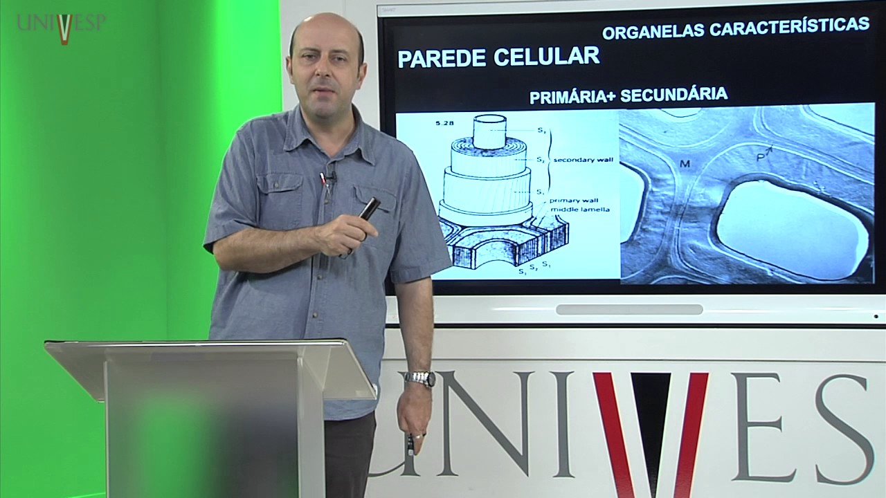 Morfologia Vegetal - Aula 04 - Célula vegetal