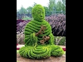 Surat Gujarat Flower Show Mammal Bonsai Plant Nursery In Surat Gardening