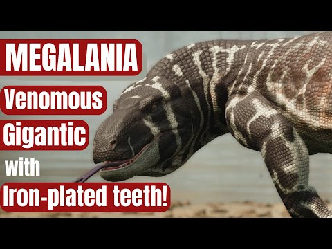 MEGALANIA: the REAL STORY