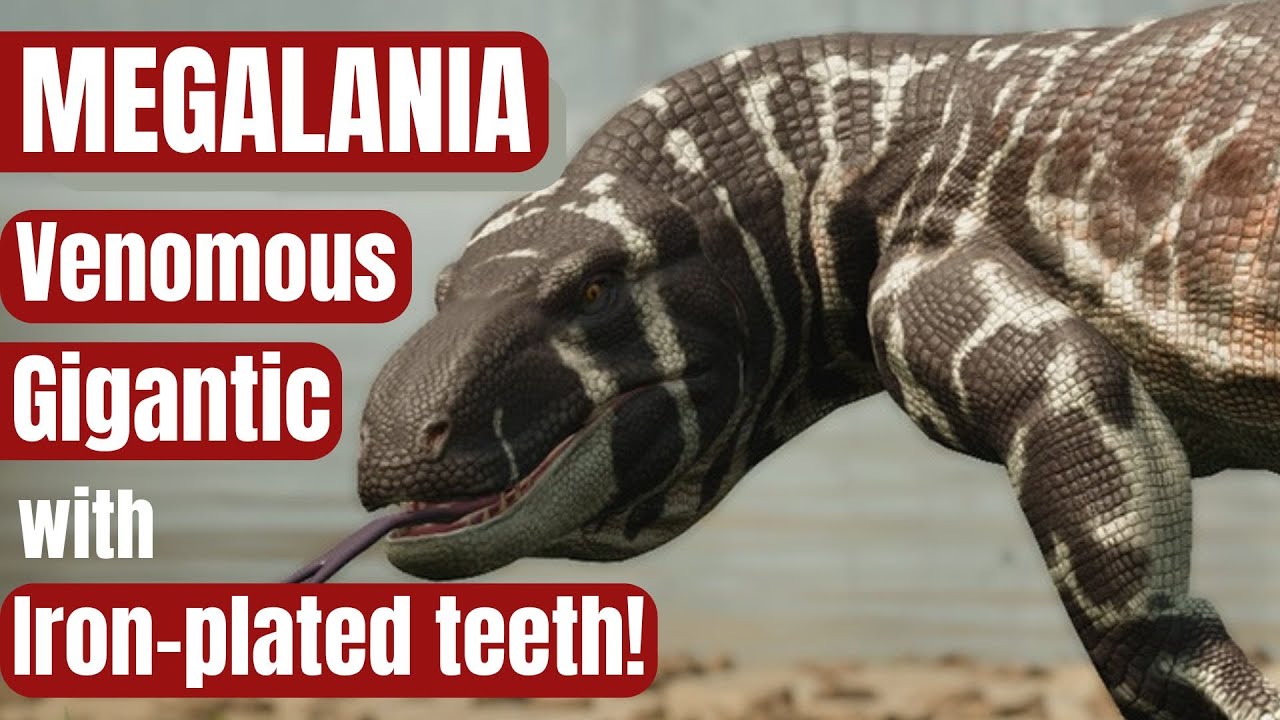 MEGALANIA: the REAL STORY