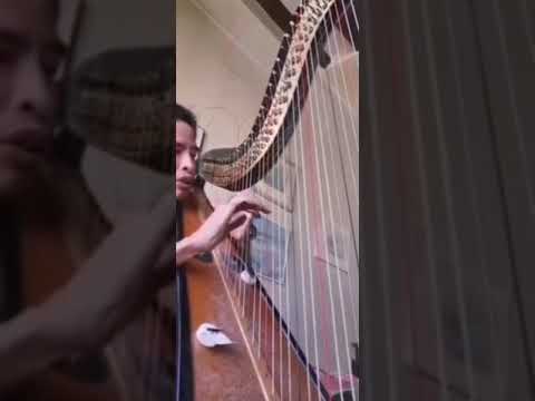 GRAND DUO M.P dalvimare (Marielle Nordmann part harp I in reworking) Var. II Then Var. I