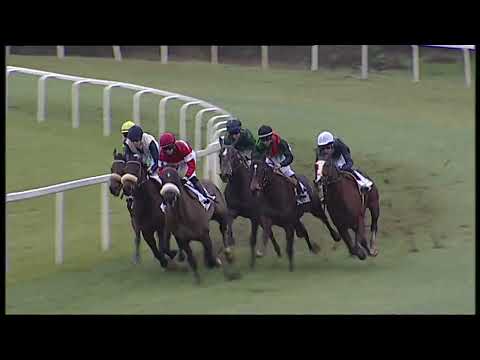 2023-02-26 corsa 2 metri 1200 premio Alex Piombo 15 Ribot Cup