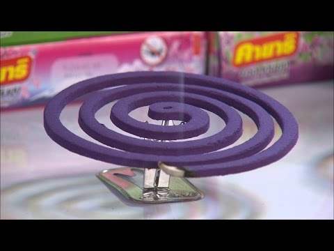 【英語で雑学】夏の風物詩！蚊取り線香の仕組み