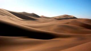 Kharon's Porter - Desert Ship