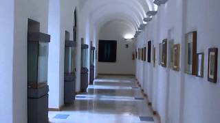 preview picture of video 'Pinacoteca Nunzio Sciavarrello - Bronte'
