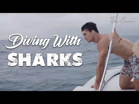 DIVING WITH SHARKS (....NO CAGE!!) | Tyler Cameron
