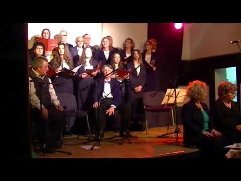 Novogodisen koncert 2017/2018 - Money Money od ABBA - Komentar na "Vera i Panda" - Gradski hor Stip