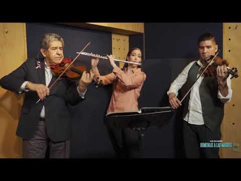 16 Jeroky popo - Musical Los Álvarez.