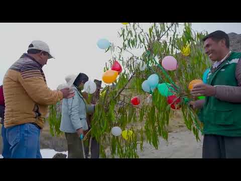 Qocha Kotu Pucro en el sector Almizcle, distrito Coris, provincia Aija en Ancash