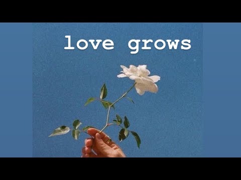 love grows acoustic.