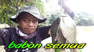 Download lagu CARA MANCING NILEM DI AIR KERUH DAN DERAS mp3 Download lagu CARA MANCING NILEM DI AIR KERUH DAN DERAS mp3
