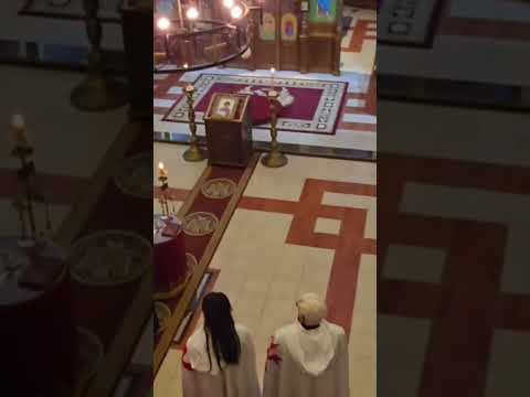 Akademija, Tema : Vitestvo #dragantojagic #velimirabramovic