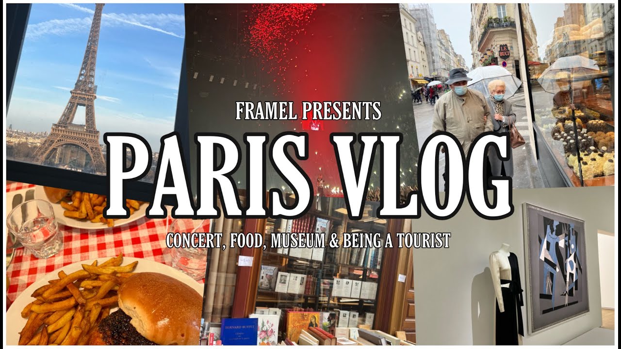 PARIS VLOG/ concert (Laylow), food, museum & being a tourist