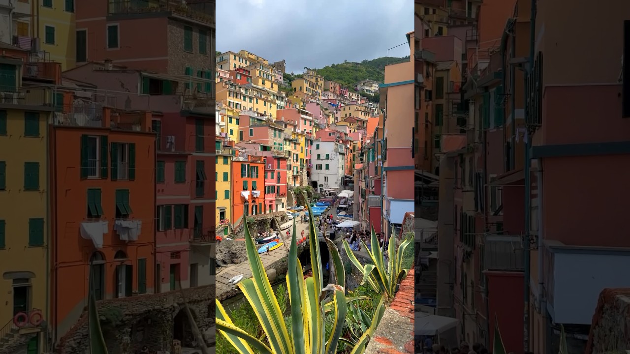 YouTube Short thumbnail