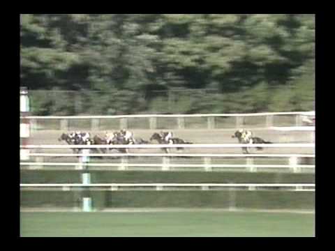 1990 Jockey Club Gold Cup - Flying Continental